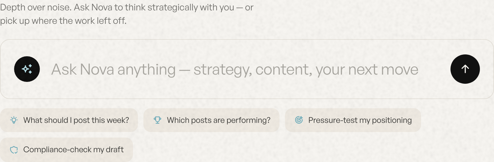 Ask Nova, the AI strategist at the centre of the platform